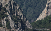 Θεα απο την κορυφη της Γκιλμπρενας
