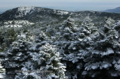 Η Παρνηθα χιονισμενη