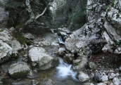 Το φαραγγι της Γκουρας στη Παρνηθα