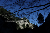 Το φαραγγι της Γκουρας στη Παρνηθα
