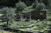 Το εγκατελειμμενο χωριο της Σαμαριας