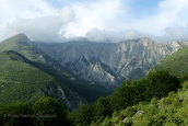Φαλακρο ορος