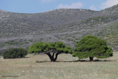 Oρος Πατερας