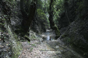 Κηφισος ποταμος(Αττικη)