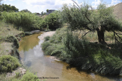 Κηφισος ποταμος (Αττικη), Κηφισος ποταμος Αττικη Kifisos river Attica, Κηφισος ποταμος Αττικη Kifisos river Attica