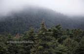 Τοπιο στη Παρνηθα, Παρνηθα Parnitha mountain, Παρνηθα Parnitha mountain