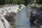 Κηφισος ποταμος (Αττικη), Κηφισος ποταμος Αττικη Kifisos river Attica, Κηφισος ποταμος Αττικη Kifisos river Attica