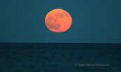 Full moon