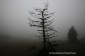 Landscape at Parnitha mountain