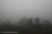 Landscape at Parnitha mountain