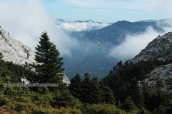 Landscape at Dirfis mountain