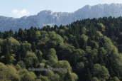Landscape at Dirfis mountain at Evia island