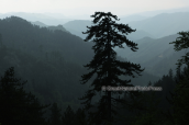 Landscape at Rodopi mountains