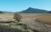 Landscape at Stimfalia lake