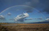 Rainbow at Oropos lagoon