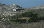 Landscape at the burned by the fire Parnitha mountain
