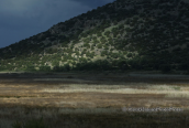 Landscape  at Shinias wetlands