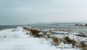 Oropos lagoon covered by snow