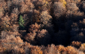 Landscape at Rodopi mountain