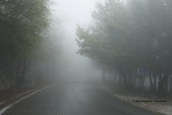Fog at Parnitha mountain