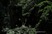 Image at Pelion mountain