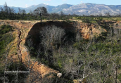Landscape at Attica region