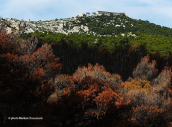 Image of Parnitha mountain after the forest fires of 2023