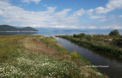 Prespa lakes