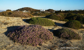 Sand dunes at Agios Prokopios at Naxos island