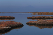 Oropos lagoon