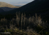 Pateras mountain