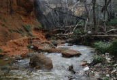 Kifisos river