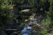 Podoniftis stream at Nea filadelfia(Athens), Ποδονιφτης ποταμος Podoniftis river, Ποδονιφτης ποταμος Podoniftis river