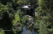 Podoniftis stream at Nea filadelfia(Athens), Ποδονιφτης ποταμος Podoniftis river, Ποδονιφτης ποταμος Podoniftis river