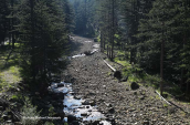 Arkoudorema stream at Valia calda