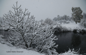 Snowfall at Tritsis park at Athens