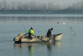 Fishermen at Kerkini lake