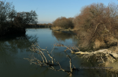 Aliakmonas river