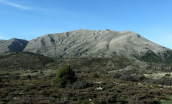 Landscape at Ziria mountain