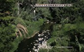 Podoniftis stream at Nea filadelfia(Athens), Ποδονιφτης ποταμος Podoniftis river, Ποδονιφτης ποταμος Podoniftis river